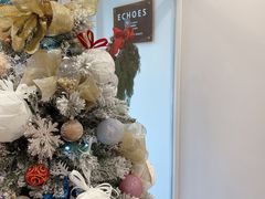 -echoes coffee回响咖啡(红山店)