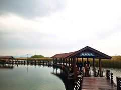 -苏州太湖湖滨国家湿地公园