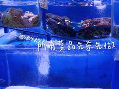 水产区-鼓歌海鲜舫·手抓海鲜(大学城店)