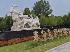-秦皇岛野生动物园