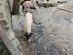-宁波野生动物园