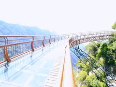 -少华山国家森林公园