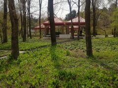 -黑龙江省森林植物园