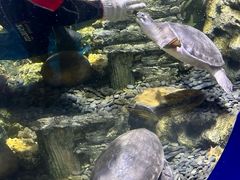 -欢乐海岸海洋奇梦馆