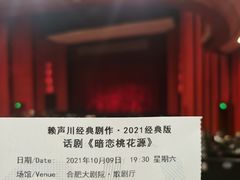 -合肥大剧院
