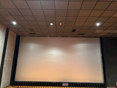 -华美国际影城(旧宫永辉店)