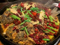 -老板恋上鱼(高新万达店)