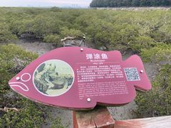 -北海金海湾红树林生态旅游区