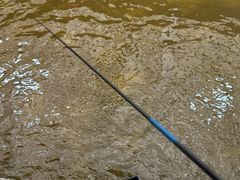 -粮心小农·大头虾亲子生态园(长发店)