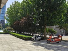 -觅唐MITONG(鸟巢店)