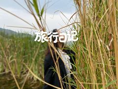 -抚仙湖禄充风景区