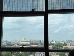 -同庆楼(金宝汇店)