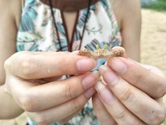 -Ministry of Crab(科伦坡店)