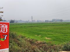 -金谷域澳洲庄园