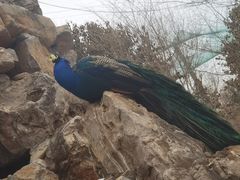 -淇河国家湿地公园