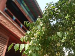 -大钟寺古钟博物馆