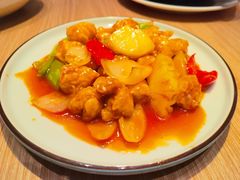 -南枝记