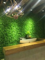 -V-STAR威斯达•高级私人定制