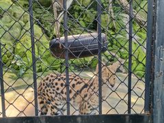 -大连森林动物园