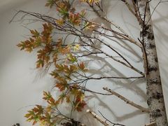 -憨老頭凉皮融合简餐(双山里店)