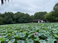 -兰亭风景区