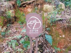 -平湖九龙山旅游度假区