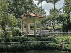 -红花山公园