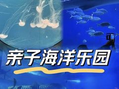 -烟台海昌鲸鲨海洋公园
