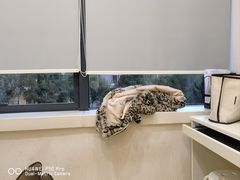 -泰康拜博口腔(世博园乐尔店)