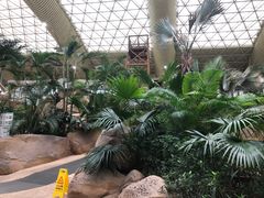 -杭州开元森泊度假乐园