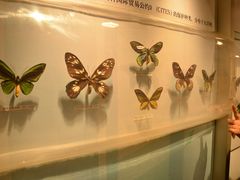 -吉林省自然博物馆