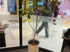 -麦当劳(祈年大街店)