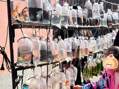 -中环花鸟鱼虫市场