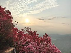 -木兰云雾山