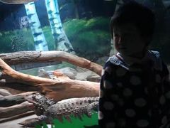 -上海大自然野生昆虫馆(东方明珠·爬宠昆虫探索中心)