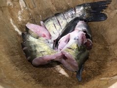 -云中鱼蒸汽石锅鱼(川沙百联店)