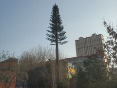 -太原动物园