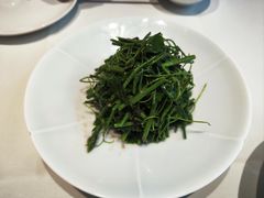 油鸡枞拌辣木苗-马旺子酒楼