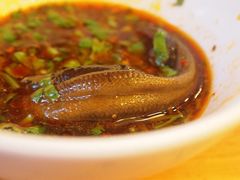 -老码头火锅(玉林店)
