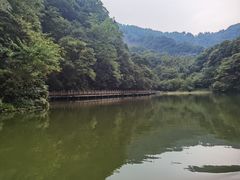 -青城山