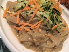 东北拉皮-高玛纳驴肉火烧(河间总店)