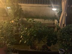 -宝翠花园餐厅(沙湖店)