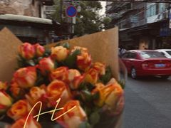 -溪岸路花鸟市场