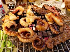 鱿鱼-5KU Station