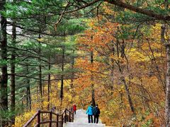 -秦岭天竺山景区