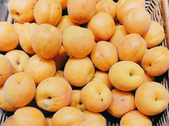 -港畔赶海蒸汽海鲜烧烤自助(仙螺岛店)
