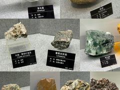 -甘肃地质博物馆