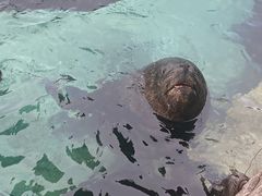-珠海长隆海洋王国