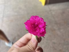-小二郎私房菜(鼓浪屿店)