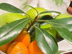 -季季山·云南野生菌火锅(上海首店)